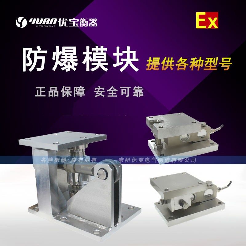 Explosion-proof module